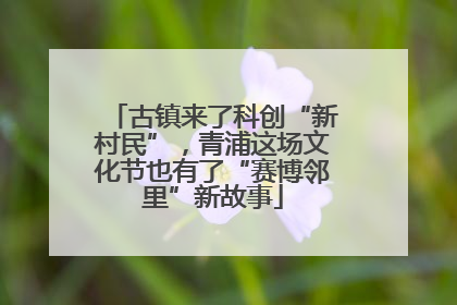 古镇来了科创“新村民”，青浦这场文化节也有了“赛博邻里”新故事