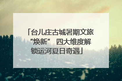 台儿庄古城暑期文旅“焕新” 四大维度解锁运河夏日奇遇
