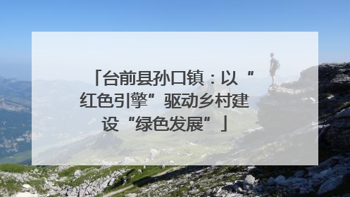 台前县孙口镇：以“红色引擎”驱动乡村建设“绿色发展”