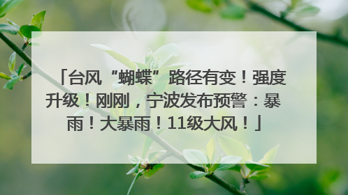 台风“蝴蝶”路径有变！强度升级！刚刚，宁波发布预警：暴雨！大暴雨！11级大风！