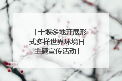 十堰多地开展形式多样世界环境日主题宣传活动
