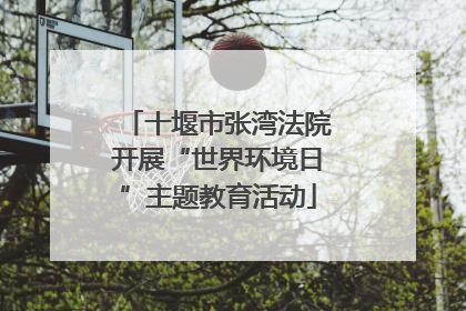 十堰市张湾法院开展“世界环境日”主题教育活动