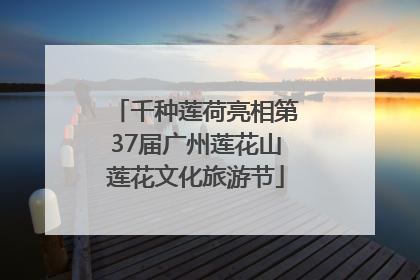 千种莲荷亮相第37届广州莲花山莲花文化旅游节