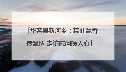 华容县新河乡：粽叶飘香传温情 走访慰问暖人心
