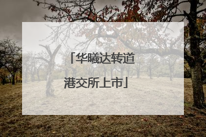 华曦达转道港交所上市