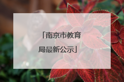 南京市教育局最新公示
