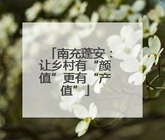 南充蓬安：让乡村有“颜值”更有“产值”