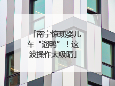 南宁惊现婴儿车“遛鸭”！这波操作太吸睛