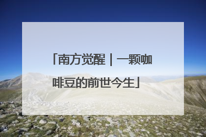 南方觉醒｜一颗咖啡豆的前世今生