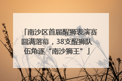 南沙区首届醒狮表演赛圆满落幕，38支醒狮队伍角逐“南沙狮王”