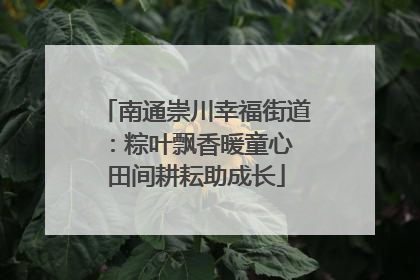 南通崇川幸福街道：粽叶飘香暖童心 田间耕耘助成长
