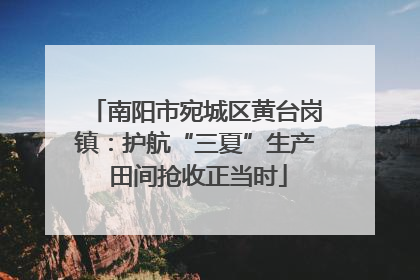 南阳市宛城区黄台岗镇：护航“三夏”生产 田间抢收正当时