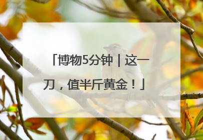 博物5分钟｜这一刀，值半斤黄金！