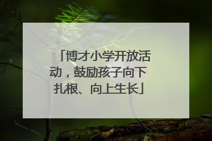 博才小学开放活动，鼓励孩子向下扎根、向上生长
