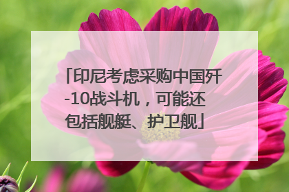 印尼考虑采购中国歼-10战斗机，可能还包括舰艇、护卫舰