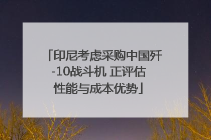 印尼考虑采购中国歼-10战斗机 正评估性能与成本优势
