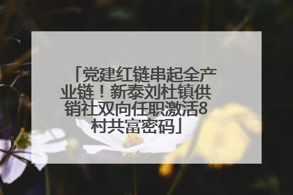 党建红链串起全产业链！新泰刘杜镇供销社双向任职激活8村共富密码