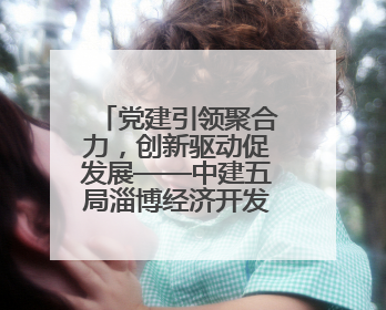 党建引领聚合力，创新驱动促发展——中建五局淄博经济开发区沣水镇高西村安置项目建设纪实