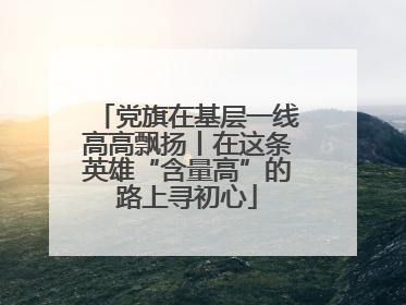 党旗在基层一线高高飘扬丨在这条英雄“含量高”的路上寻初心