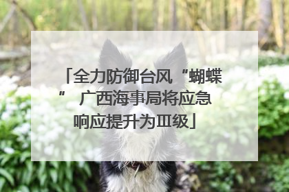 全力防御台风“蝴蝶” 广西海事局将应急响应提升为Ⅲ级