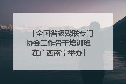 全国省级残联专门协会工作骨干培训班在广西南宁举办