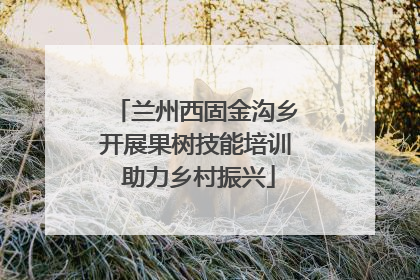 兰州西固金沟乡开展果树技能培训 助力乡村振兴