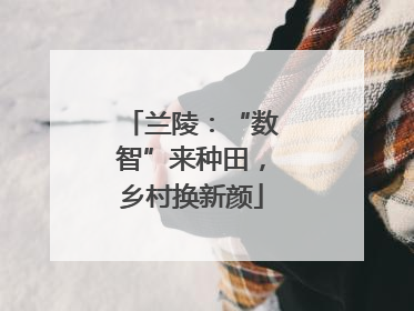 兰陵：“数智”来种田，乡村换新颜