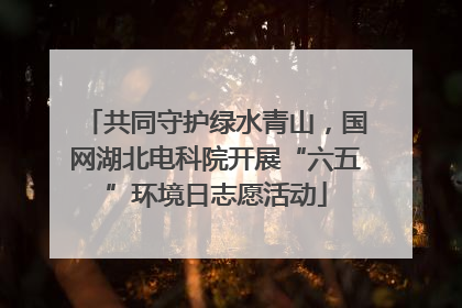 共同守护绿水青山，国网湖北电科院开展“六五”环境日志愿活动