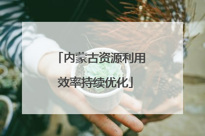 内蒙古资源利用效率持续优化