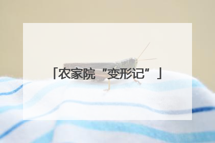 农家院“变形记”