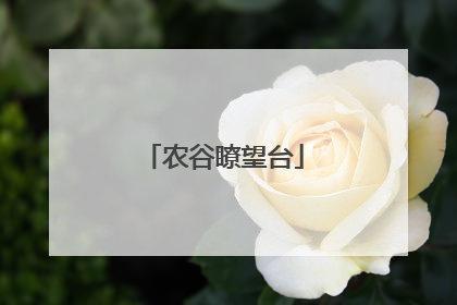 农谷瞭望台
