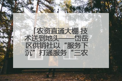农资直通大棚 技术送到地头——岱岳区供销社以“服务下沉”打通服务“三农”最后一公里