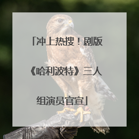冲上热搜！剧版《哈利波特》三人组演员官宣