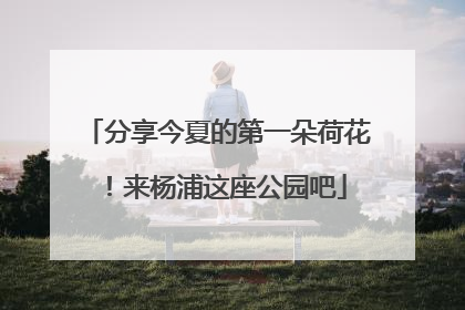 分享今夏的第一朵荷花！来杨浦这座公园吧
