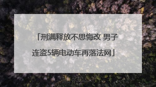 刑满释放不思悔改 男子连盗5辆电动车再落法网
