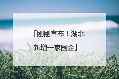 刚刚宣布！湖北新增一家国企