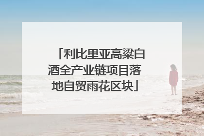利比里亚高粱白酒全产业链项目落地自贸雨花区块