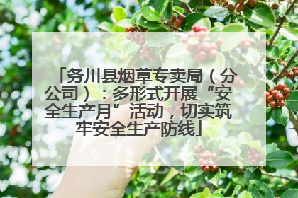 务川县烟草专卖局（分公司）：多形式开展“安全生产月”活动，切实筑牢安全生产防线