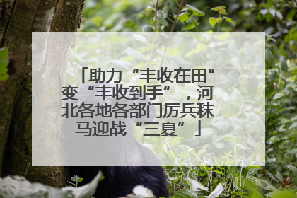 助力“丰收在田”变“丰收到手”，河北各地各部门厉兵秣马迎战“三夏”