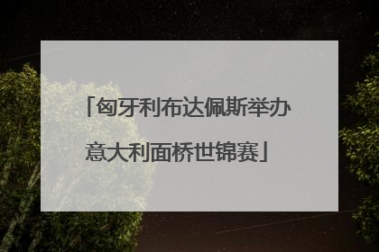 匈牙利布达佩斯举办意大利面桥世锦赛