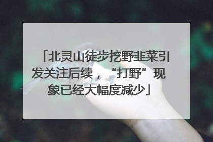 北灵山徒步挖野韭菜引发关注后续，“打野”现象已经大幅度减少