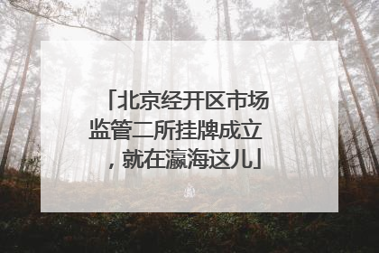北京经开区市场监管二所挂牌成立，就在瀛海这儿