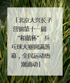 北京大兴长子营镇第十一届 “和谐杯” 乒乓球大赛圆满落幕，全民运动热潮涌动
