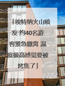 埃特纳火山喷发 约40名游客紧急撤离 温度极高感觉要被烤焦了