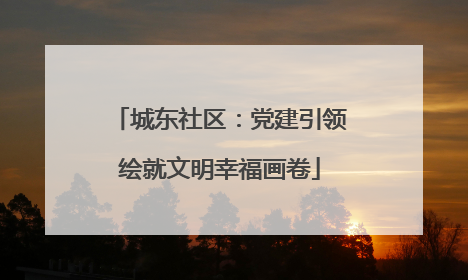 城东社区：党建引领绘就文明幸福画卷