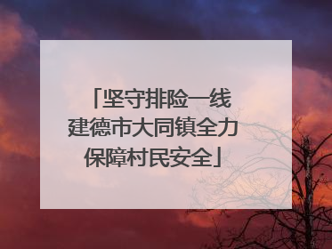 坚守排险一线 建德市大同镇全力保障村民安全