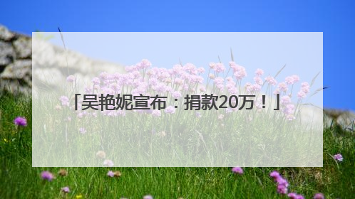 吴艳妮宣布：捐款20万！