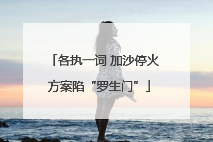 各执一词 加沙停火方案陷“罗生门”