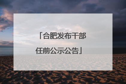 合肥发布干部任前公示公告