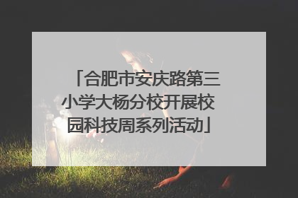 合肥市安庆路第三小学大杨分校开展校园科技周系列活动